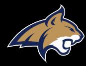 Montana State University Counseling and Psychological Services **APA Approved Doctoral Internship in Psychology** August 1, 2017 July 31, 2018