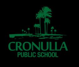 Principal s message This report gives information about the programs and performance of Cronulla Public School.