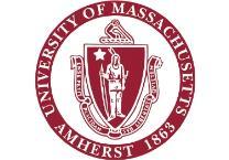 APPENDIX D: Course Substitution Form University of Massachusetts Amherst College of Engineering Department of Civil and Environmental Engineering Undergraduate Course Substitution Form Student Name: