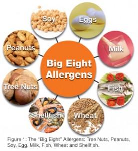 Special Diets and Food Allergies Meals for