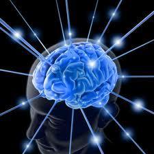 Research supporting the use of technology Brain neuroplasticity- the brain changes in response to experience