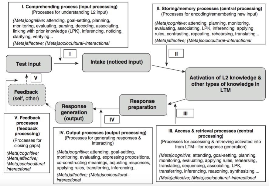 FIGURE 1 The architecture of human information processing.