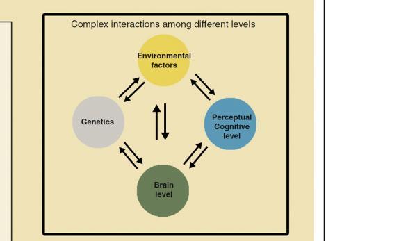 Update - Review of Newer Research on the Neurobiology of Dyslexia August 2016, Pages 45 58 Neuroscience of education Lessons to be learned: how a comprehensive neurobiological framework of atypical