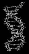 Six-Frame Translation Dùng phương pháp Six-Frame với 3 dịch chuyển, ký hiệu +1, +2 và +3. Ngoài ra, DNA tồn tại dạng chuỗi xoắn kép theo từng cặp A-T, C-G. Hơn nữa, đầu 3 của DNA không rõ là phía nào.