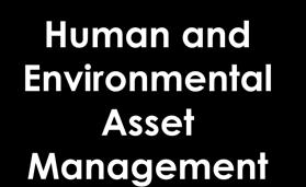 & Processes Marketing and Communications Financial Asset Management Human and Environmental Asset Management