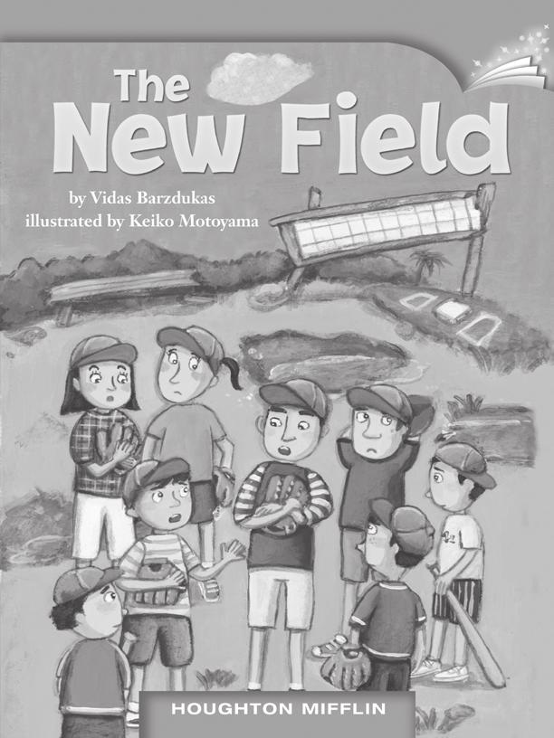 LESSON 17 TEACHER S GUIDE by Vidas Barzdukas Fountas-Pinnell Level M Realistic Fiction Selection Summary Miguel lives in the Dominican Republic and loves baseball.