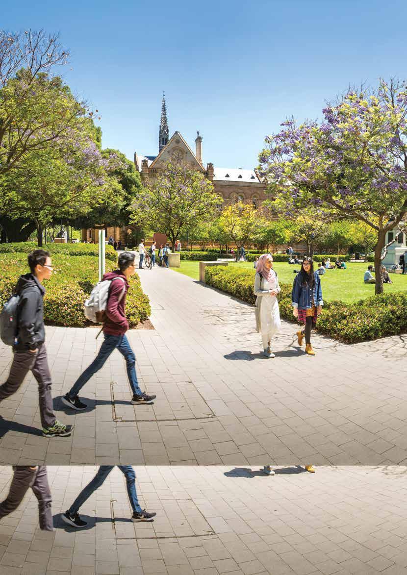 Why the University of Adelaide?