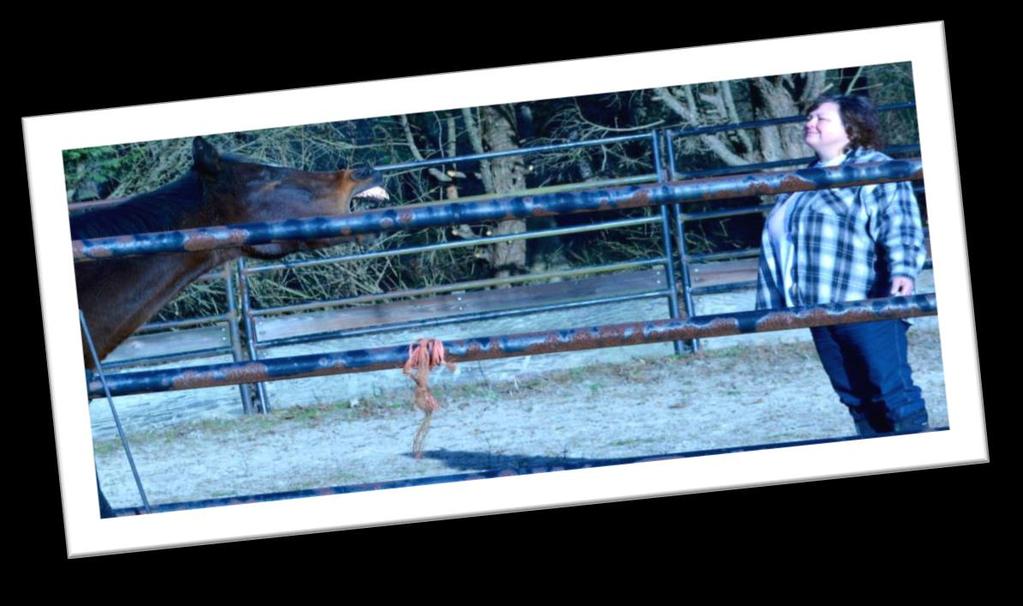 Coach Training Only (CTO) Program Option: (No equine facilitator training) Are you already an Equine Facilitated Practitioner and want to add coaching skills or an ICF coaching certification to your