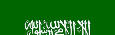 POSITIONS IN SAUDI ARABIA Held several other academic Positions in Saudi including: