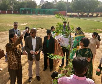 sapling at The Foundation and The Indian School, to celebrate Earth Day