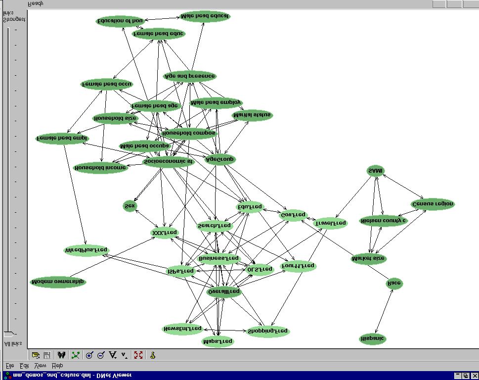 Figure 1: A dependency network for Media Metrix data.