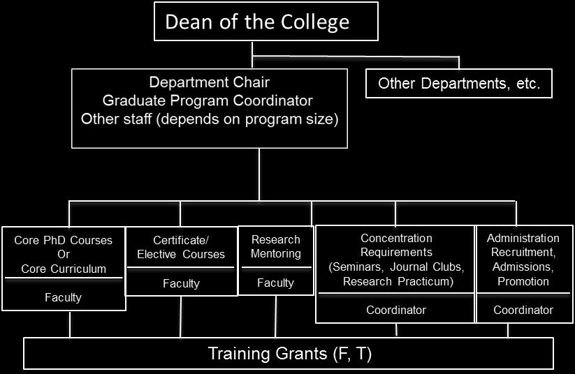 Organizational Chart for
