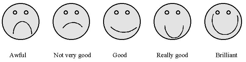 Figure 1: The smiley faces representing the scale. Figure 2: The data collection grid. (Figure 2). The method was given a score by summing the positions from 4 (best) to 1 (worst) for each attribute.