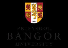 Our aim is to make your experience at Bangor University as valuable and rewarding as we can.