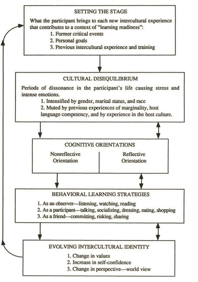 Figure 1 The Process of Learning to Become Interculturally Competent (From Taylor, 1994b, p.162). (1994b, p. 161).