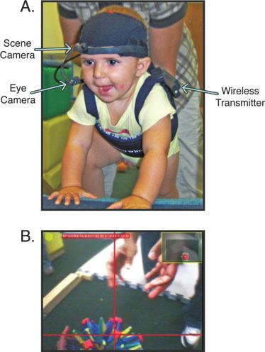 1740 Franchak, Kretch, Soska, and Adolph visual stimuli are needed, infants require little range of movement, and when automated gaze processing is beneficial.