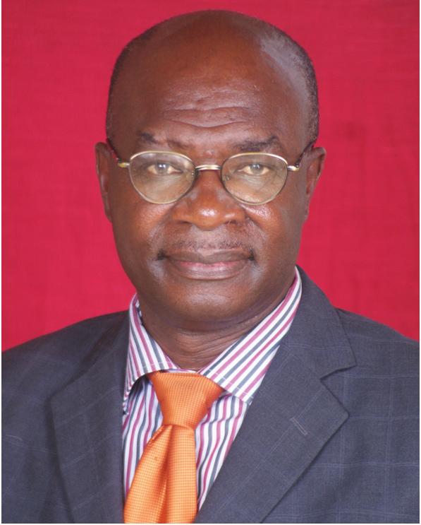 Appiah-Kubi completed his doctorate in Economics at the Johannes Gutenberg-Universität Mainz in Germany, and has published numerous books and papers.