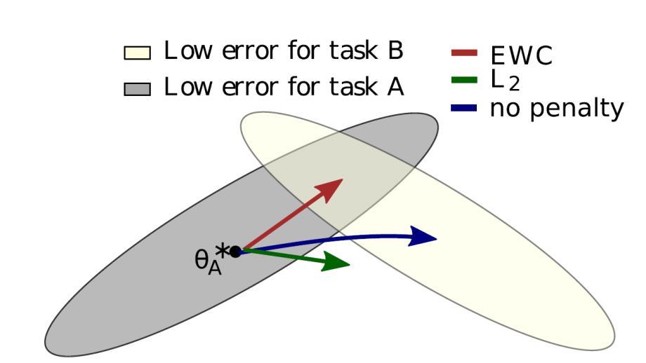One of Most Recent Solutions Kirkpatrick et al (2017) Overcoming catastrophic forgetting in neural networks Protects individual network parameters such as