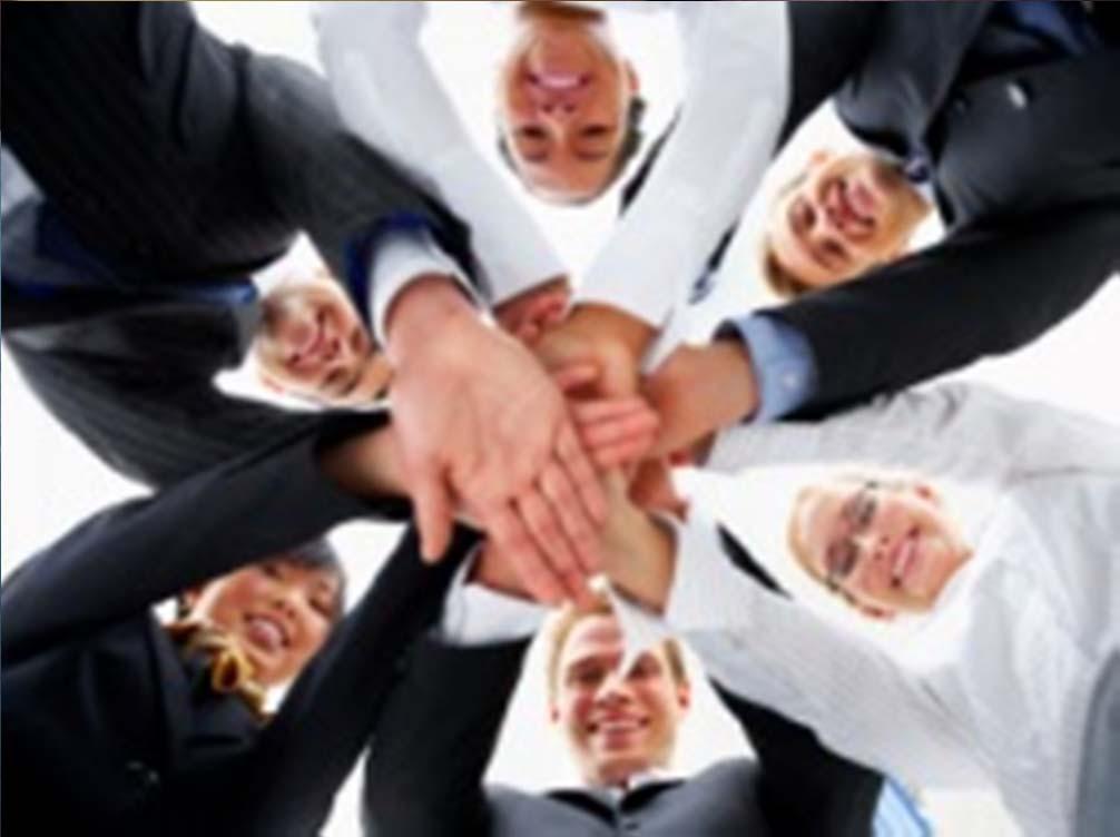 Question to Team Leader Do you think you get a full cooperation