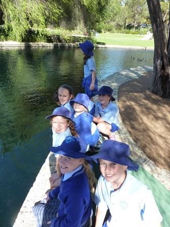 trip to Kings Park for the day. Thank you to the parents who assisted by supervising the outing to Kings Park.