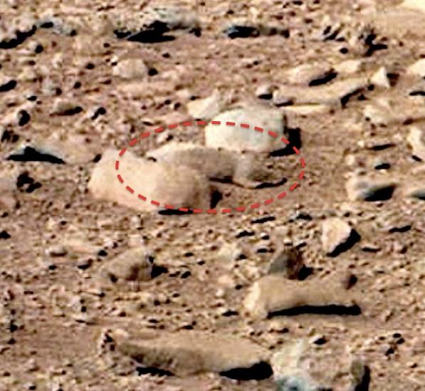 CURIOSITY S CHEMCAM INSTRUMENT for next class. Squirrels and humanoids on Mars?