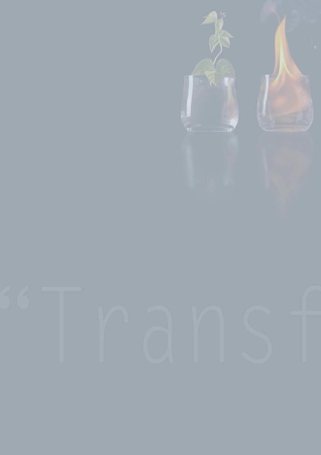 INTRODUCING THE PROGRAM UUTRANSFORMATION/traveller o UUTRANSFORMATION The two modules of the workshop TRANSFORMATION are given regularly in Rio de Janeiro and São Paulo: an introduction to the