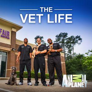 Every year Tuskegee University College of Veterinary Medicine students make their summer pilgrimage to the