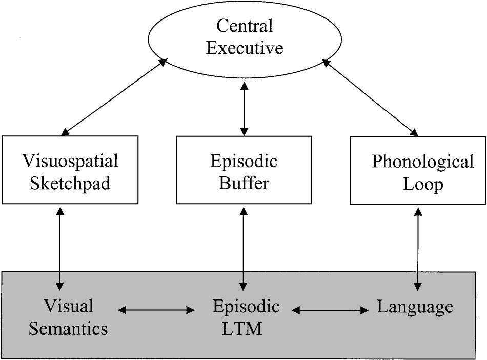 Figure 4: Baddeley's (2000) revised working memory model. Baddeley's (2000) revised working memory model. Source: http://www.isrc.umbc.edu/hcihandbook/figures/02-03.