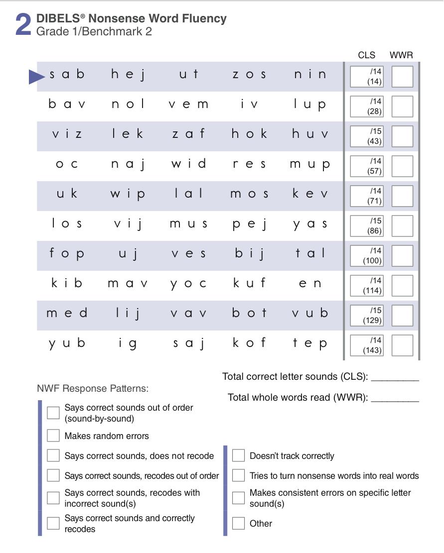 At a Later Time Compute the Final Score Add number of correct letter sounds (CLS) and whole words read (WWR) for each line (up to bracket).