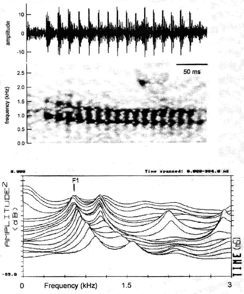 8 FIG. 4. Example of a male leopard alarm call. From top to bottom: time series, spectrogram, and waterfall representation of the LPC curves.