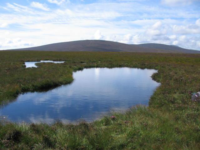 Understand processes within these ecosystems (ecology, hydrology and peat accumulation). 3. Understand peatland-environment feedback, especially with regards to global climate. 4.