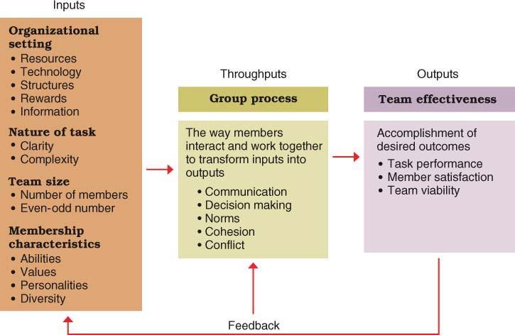 Group Norms Behaviors, rules or standards expected of team members Cohesion the