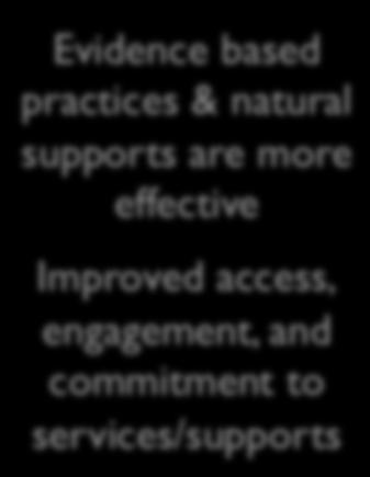 wraparound Experiences of efficacy and success Services & supports are