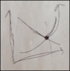 Figure 2. Students in one small group drew a diagram of their idea that thresholds occur when two curves cross one another.