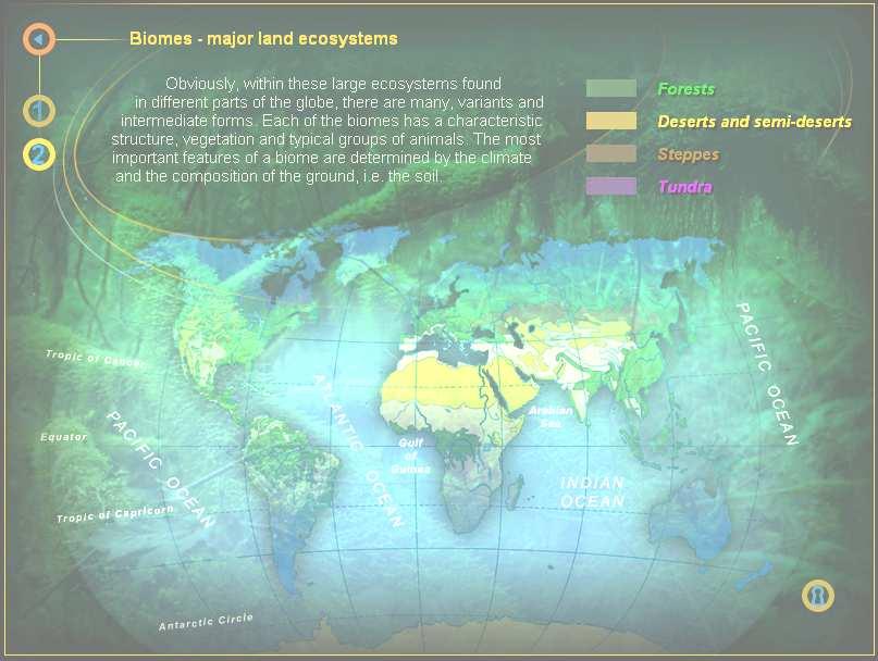 Chapter 5: Evaluation of the EduRom multimedia software package Page 200 The biome map in Topic 124 (see Figure 61). The map is meant to be showing the distribution of the different biomes.