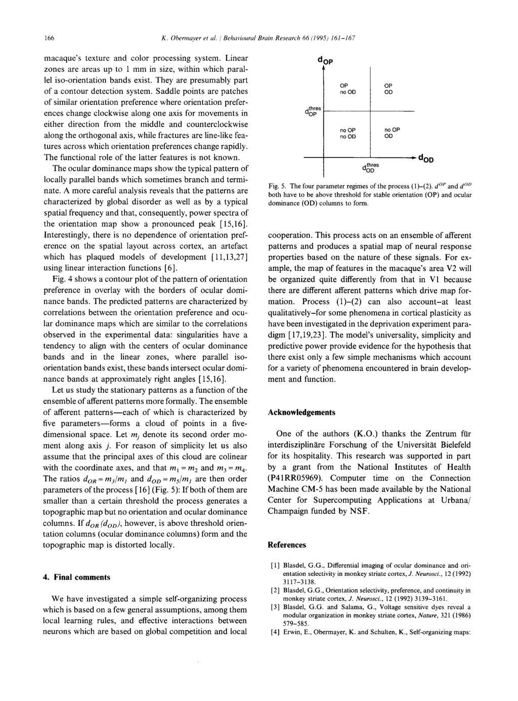 166 K. Obermayer et al. / Behavioural Brain Research 66 (1995) 161-167 macaque's texture and color processing system.