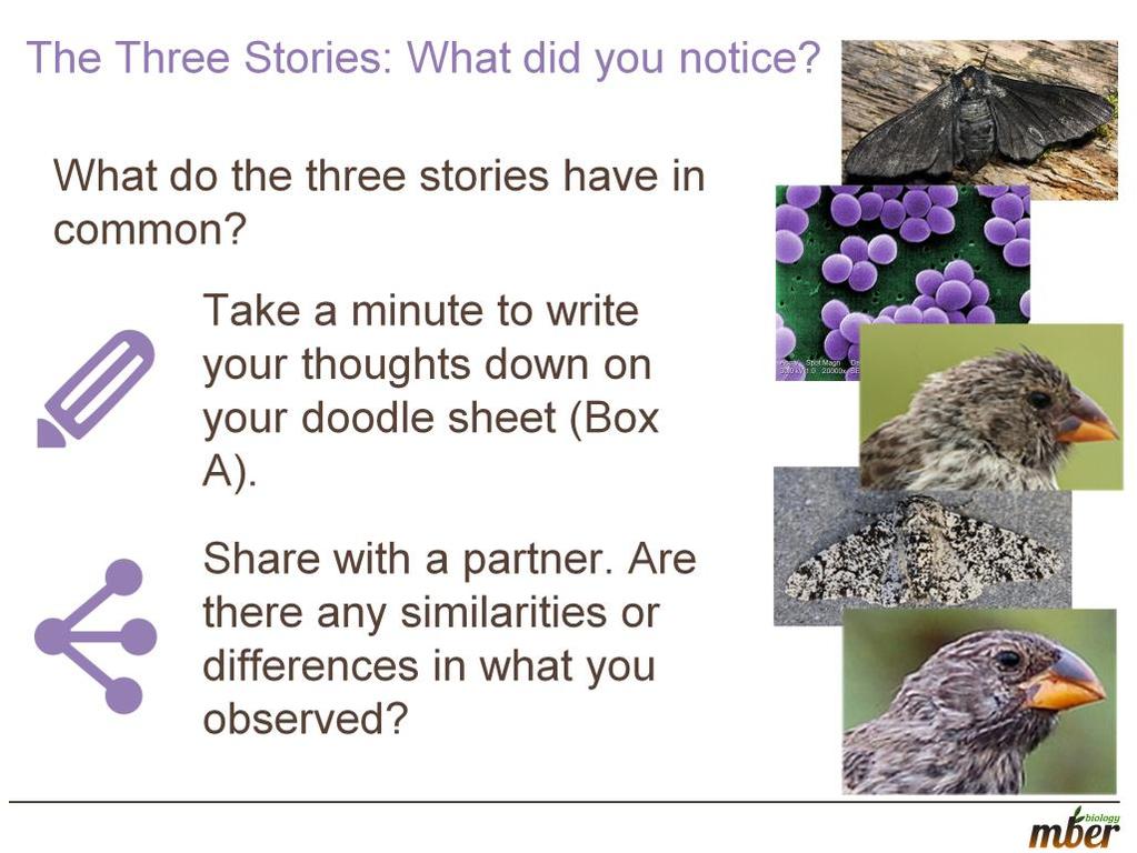 TEACHER NOTES: Now that students have listened to three stories, ask them to consider what the three stories have in common.