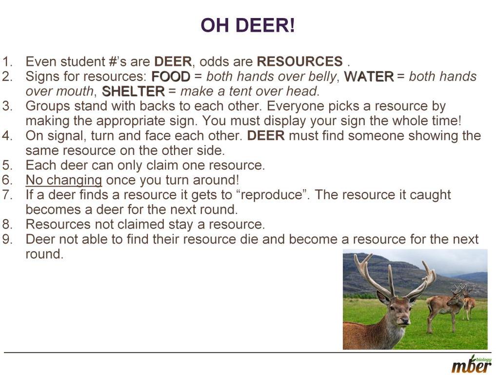 Please see Oh Deer teacher notes in Resources.