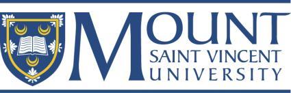 Mount 2017: Making a Difference Mount Saint Vincent University s Strategic Plan CONTEXT Five years ago, as part of its Strategic Plan, Destination 2012, Mount Saint Vincent University outlined a new