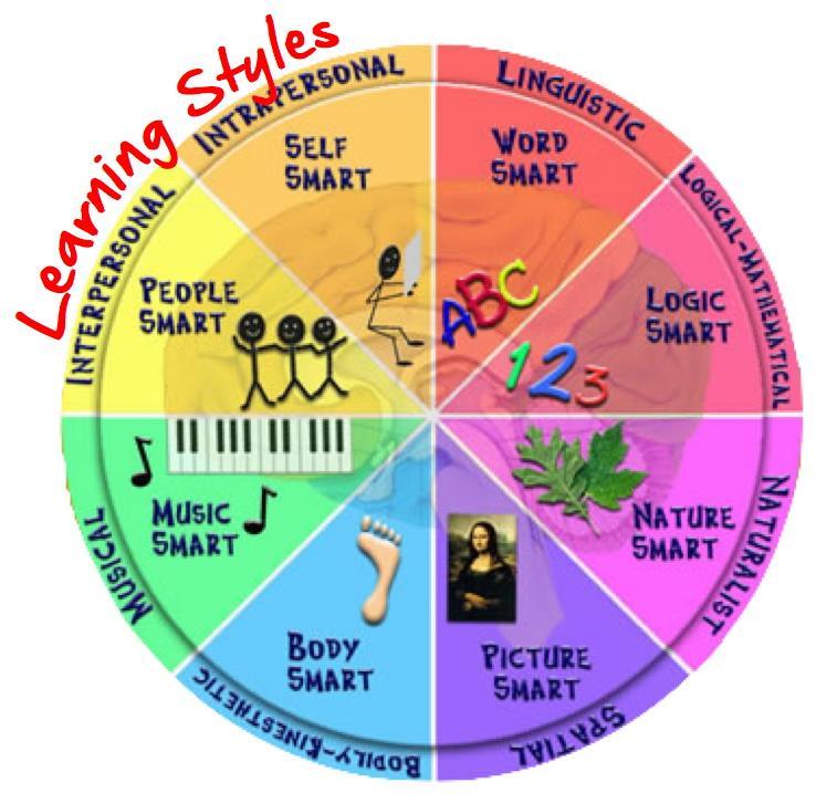 DIFFERENT TYPES OF LEARNERS Learning styles vary from person to person Many students have more than one dominant learning style