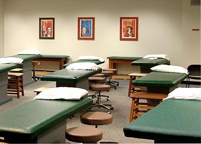 Differences in Education Osteopathic Manipulative Medicine Additional 200 hours of instruction beyond M.D.s Provide an