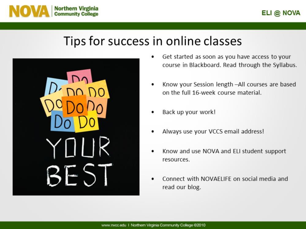 Anytime on your course start date, log into Blackboard and start getting comfortable navigating the virtual classroom.