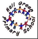 Hall Green Primary School - Disability Equality Policy/Scheme 1.