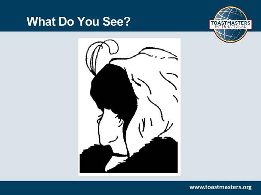 1. SHOW the What Do You See? slide. 2.