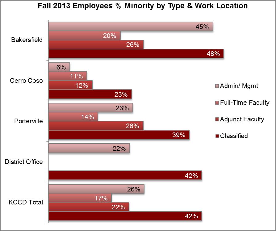 Employee Race and Ethnicity (continued) The graph below shows the percentage of employees who identify as a minority in the 2013 term by location and employee type.
