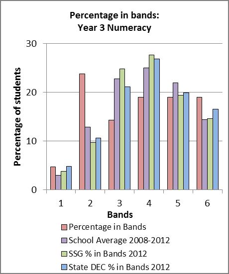 Space, Measure ment and Data State 95 97 Region 96 93 School 95 90 Number, Patterns and Algebra Year 3 Numeracy -Proficiency Standard Year 3 students at Appin P.S. had a significantly lower percentage of students in the top skill bands compared to the state average.