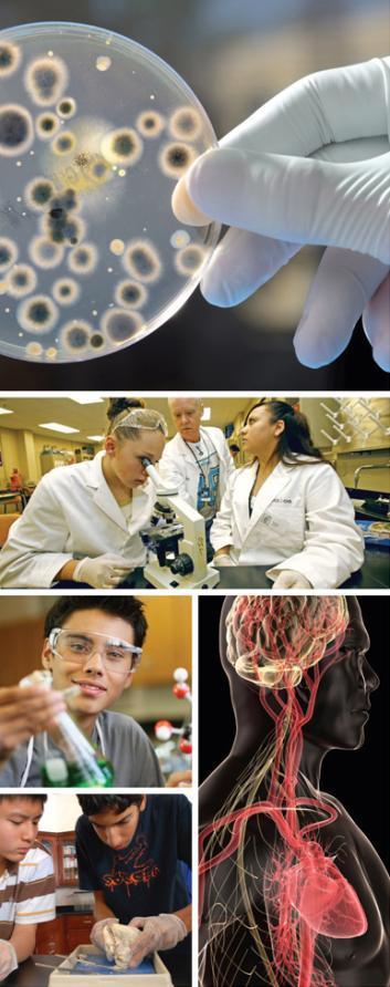 Biomedical Sciences HS Principles of the Biomedical Sciences (PBS) Study of human body systems and health conditions Human Body Systems (HBS) Exploring science in action, students build organs and