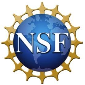 NSF s Research in Disabilities