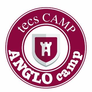 This camp also offers the campers the opportunity to take an official Trinity GESE oral exam, so experience teaching official exams (especially trinity) will be a point in favour to teachers looking