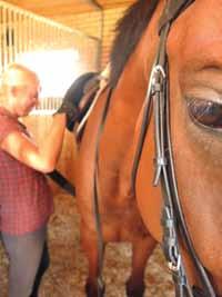 Kādu staļļa fizisko vidi sagaida un novērtē klienti Sandija Zēverte-Rivža Staļļa iekārtojums, ganību pieejamība, barošana, zirgu mēslu savākšana un utilizācija, un vairāki citi aspekti nodrošina to,